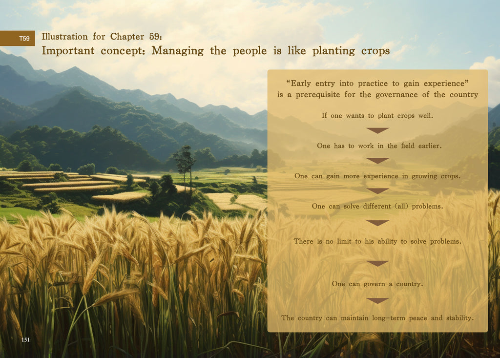 Walking Your Own Dao - An Authentic, Illustrative, and Pragmatic Guide to the Dao De Jing